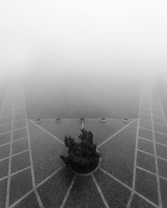 FOG